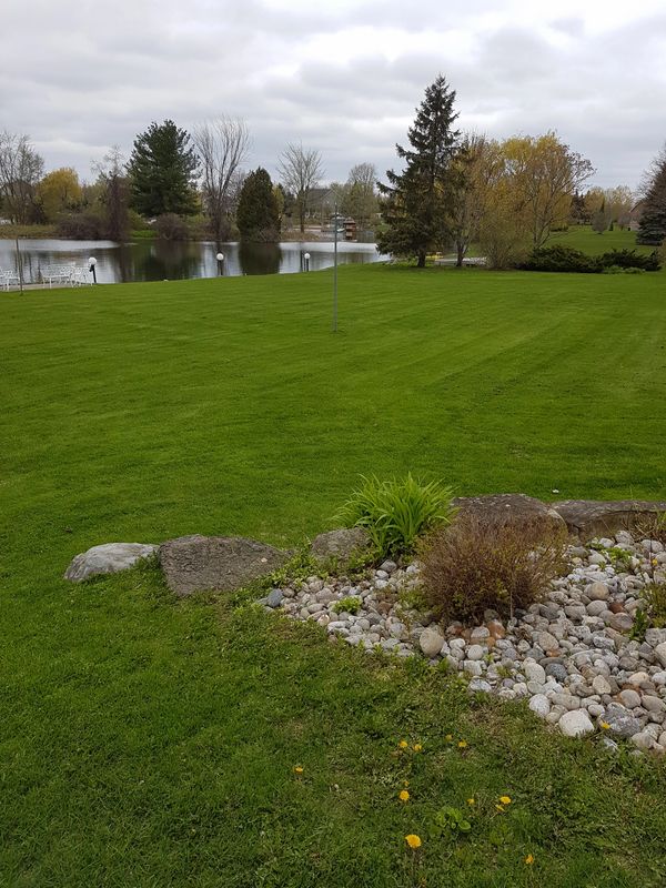 Freshly maintained residential lawn and garden bed